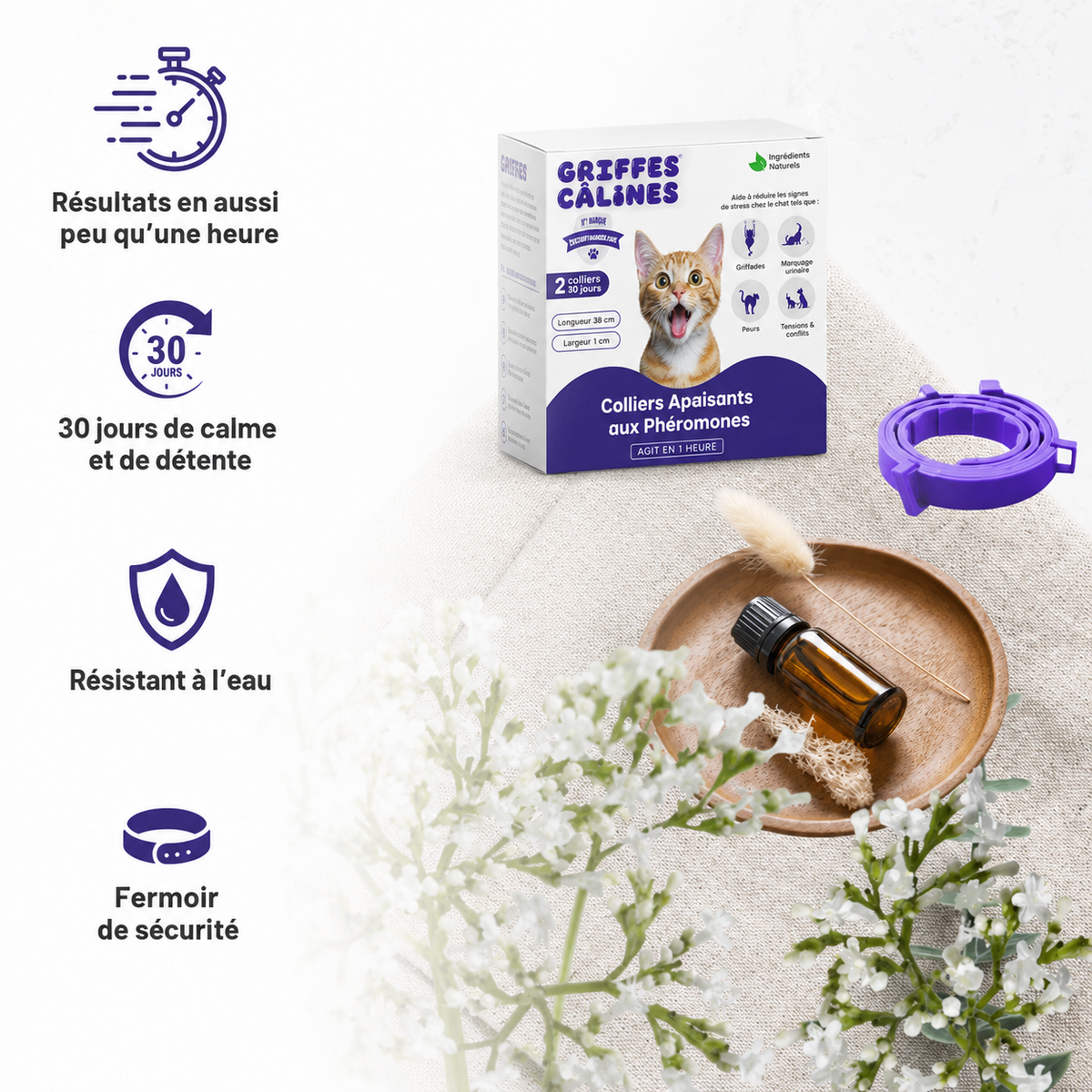 GriffesCalines Collier Calmant Pour Chat