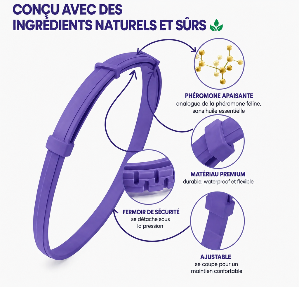 GriffesCâlines | Collier Calmant Pour Chat