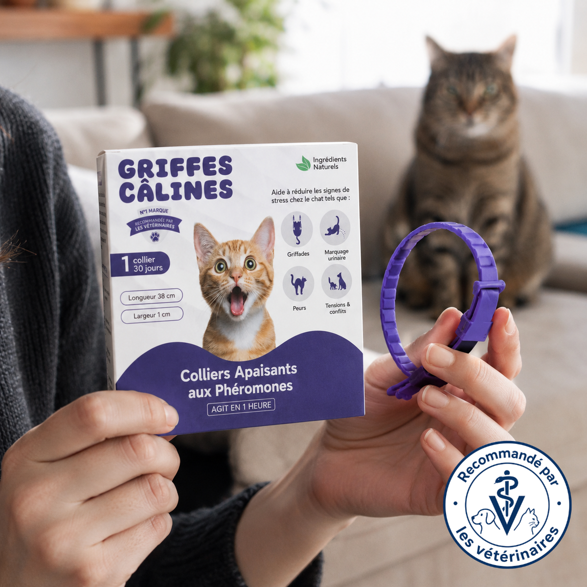 GriffesCâlines | Collier Calmant Pour Chat